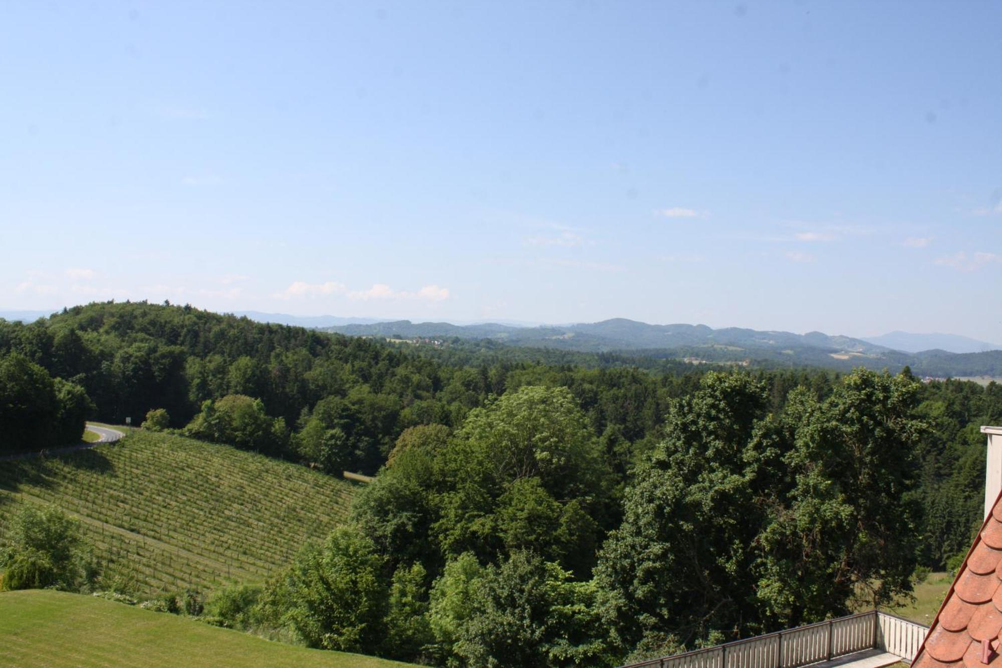 Hotel Garni Am Seggauberg Leibnitz Eksteriør billede